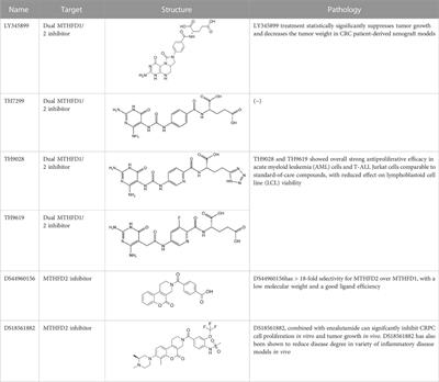 Whether MTHFD2 plays a new role: from anticancer targets to anti-inflammatory disease